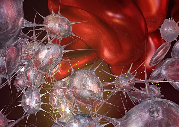 Activated Platelet Picture